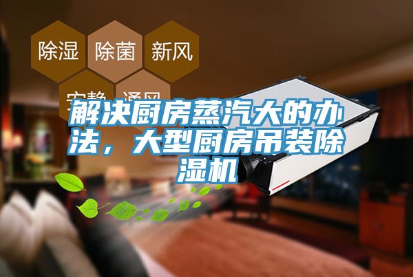 解决厨房蒸汽大的办法，大型厨房吊装杏仁直播app最新版下载