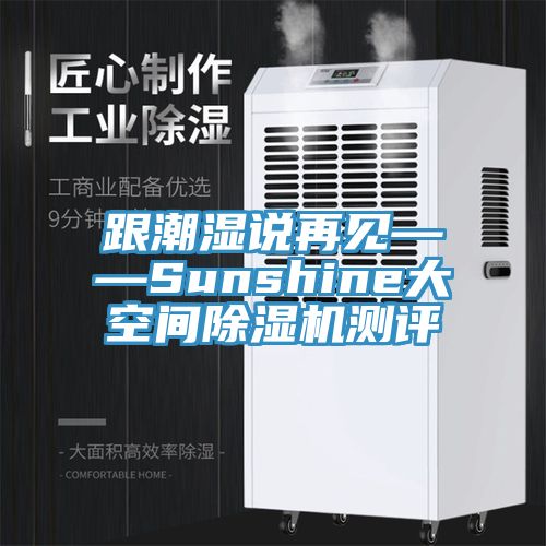 跟潮湿说再见——Sunshine大空间杏仁直播app最新版下载测评