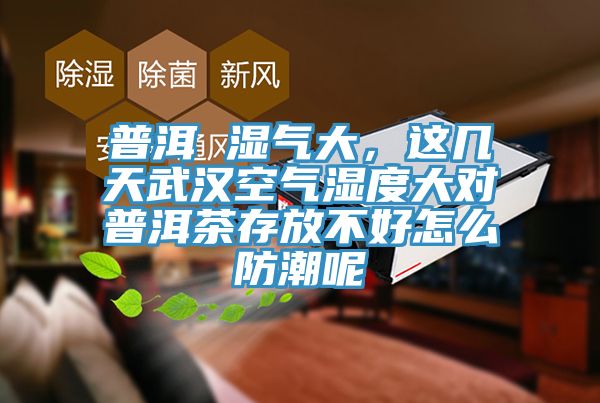 普洱 湿气大，这几天武汉空气湿度大对普洱茶存放不好怎么防潮呢