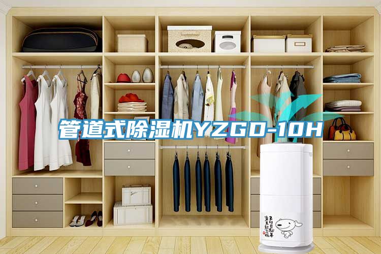 管道式杏仁直播app最新版下载YZGD-10H