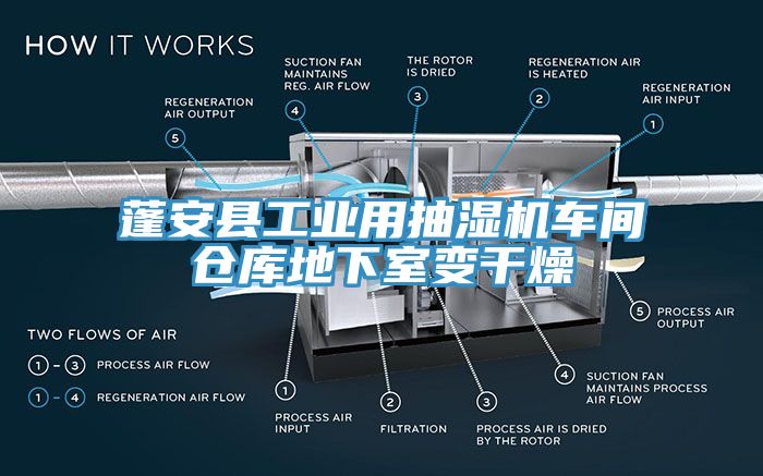 蓬安县工业用抽湿机车间仓库地下室变干燥