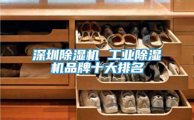 深圳杏仁直播app最新版下载 工业杏仁直播app最新版下载品牌十大排名