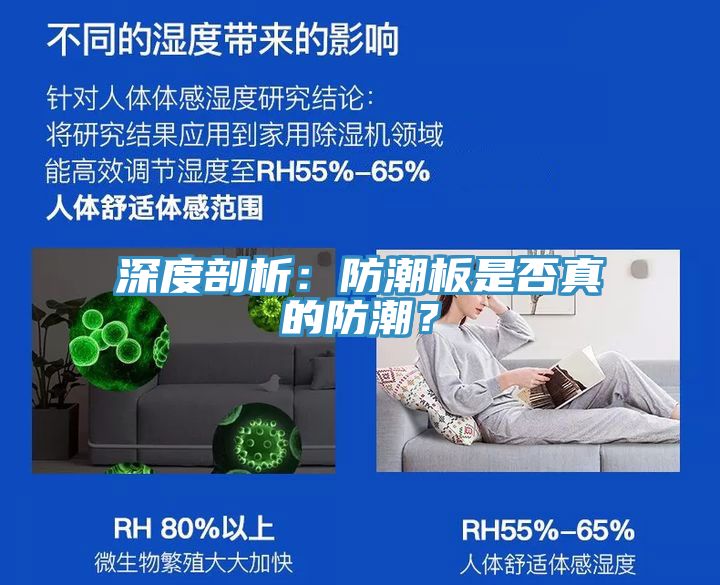 深度剖析：防潮板是否真的防潮？