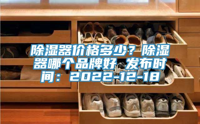 除湿器价格多少？除湿器哪个品牌好 发布时间：2022-12-18