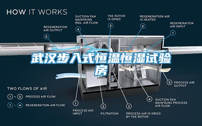 武汉步入式恒温恒湿试验房