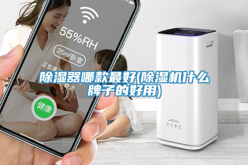 除湿器哪款最好(杏仁直播app最新版下载什么牌子的好用)