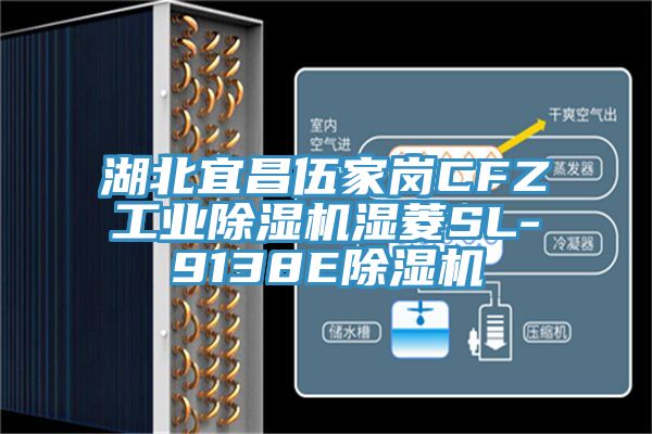 湖北宜昌伍家岗CFZ工业杏仁直播app最新版下载湿菱SL-9138E杏仁直播app最新版下载