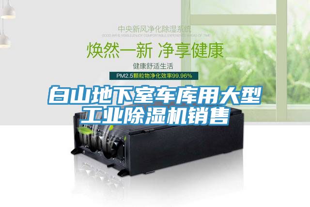 白山地下室车库用大型工业杏仁直播app最新版下载销售