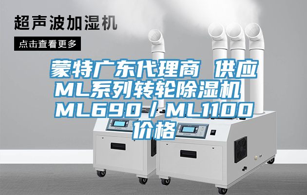 蒙特广东代理商 供应ML系列转轮杏仁直播app最新版下载 ML690／ML1100价格