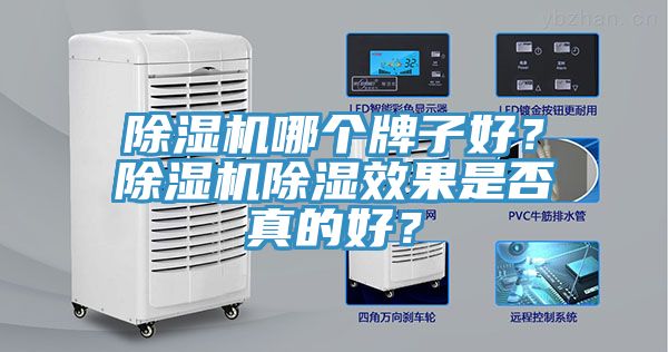 杏仁直播app最新版下载哪个牌子好？杏仁直播app最新版下载除湿效果是否真的好？