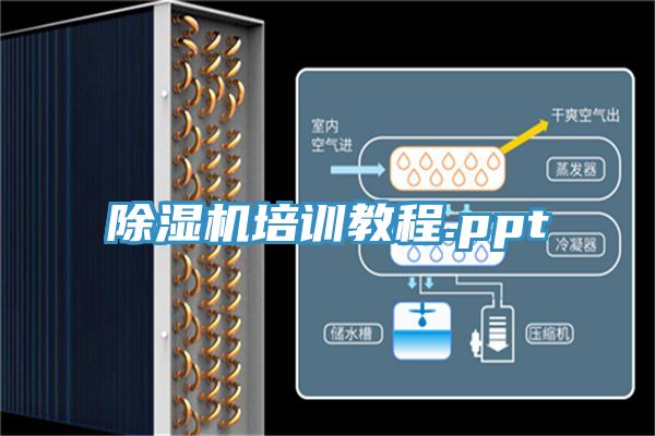 杏仁直播app最新版下载培训教程.ppt