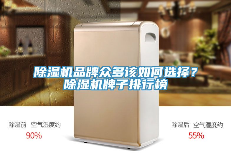 杏仁直播app最新版下载品牌众多该如何选择？杏仁直播app最新版下载牌子排行榜