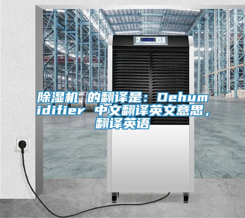 杏仁直播app最新版下载 的翻译是：Dehumidifier 中文翻译英文意思，翻译英语