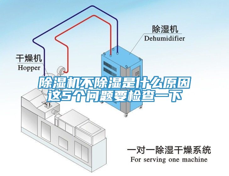 杏仁直播app最新版下载不除湿是什么原因这5个问题要检查一下