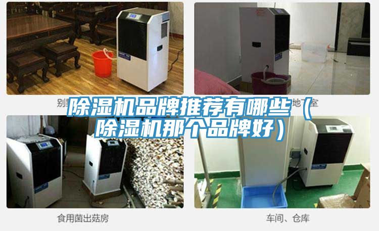 杏仁直播app最新版下载品牌推荐有哪些（杏仁直播app最新版下载那个品牌好）