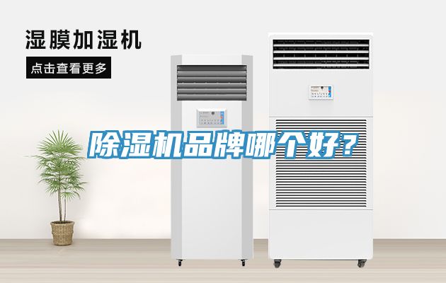 杏仁直播app最新版下载品牌哪个好？