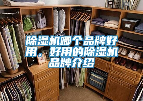 杏仁直播app最新版下载哪个品牌好用，好用的杏仁直播app最新版下载品牌介绍