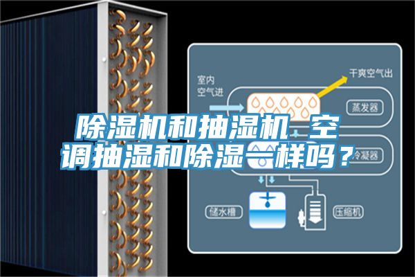 杏仁直播app最新版下载和抽湿机 空调抽湿和除湿一样吗？