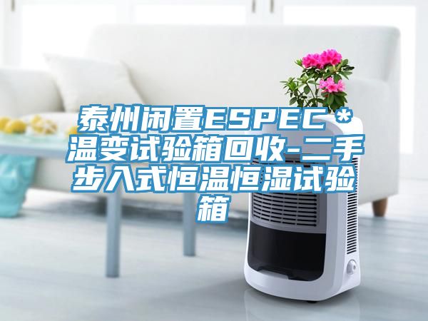 泰州闲置ESPEC＊温变试验箱回收-二手步入式恒温恒湿试验箱