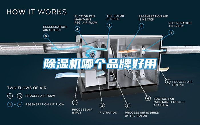 杏仁直播app最新版下载哪个品牌好用