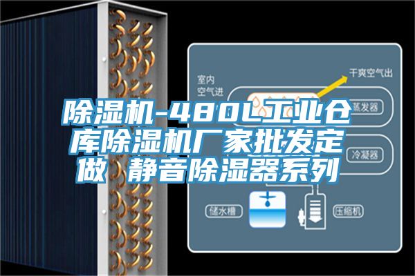 杏仁直播app最新版下载-480L工业仓库杏仁直播app最新版下载厂家批发定做 静音除湿器系列