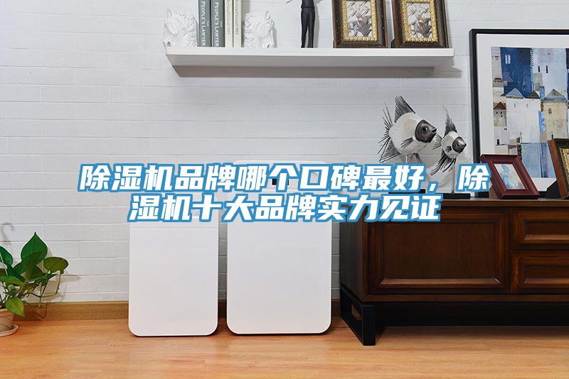 杏仁直播app最新版下载品牌哪个口碑最好，杏仁直播app最新版下载十大品牌实力见证