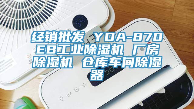 经销批发 YDA-870EB工业杏仁直播app最新版下载 厂房杏仁直播app最新版下载 仓库车间除湿器