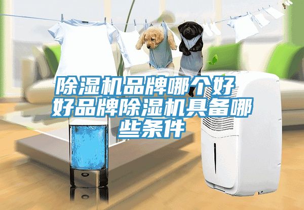 杏仁直播app最新版下载品牌哪个好 好品牌杏仁直播app最新版下载具备哪些条件