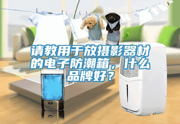 请教用于放摄影器材的电子防潮箱，什么品牌好？