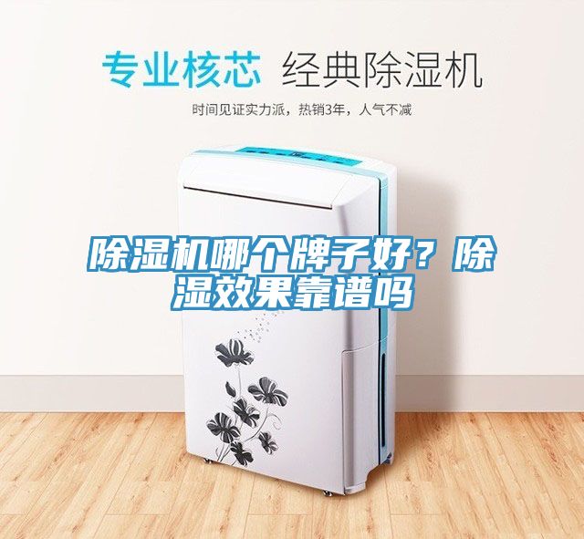 杏仁直播app最新版下载哪个牌子好？除湿效果靠谱吗