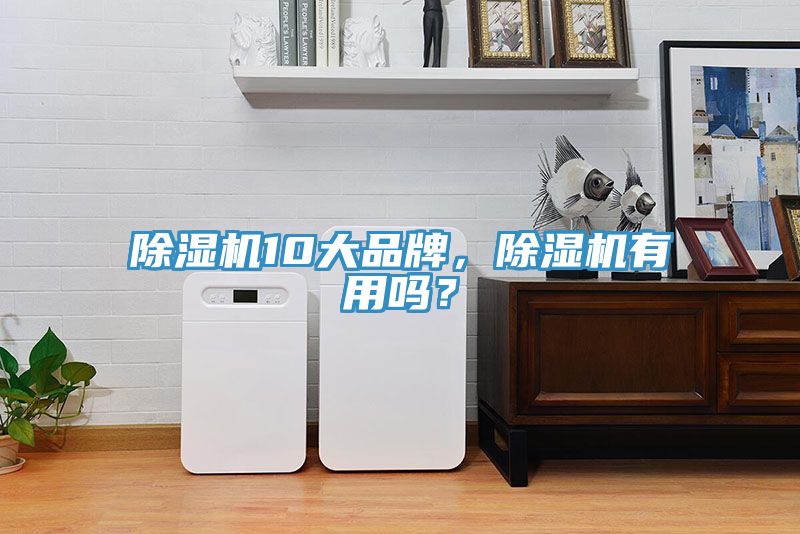 杏仁直播app最新版下载10大品牌，杏仁直播app最新版下载有用吗？