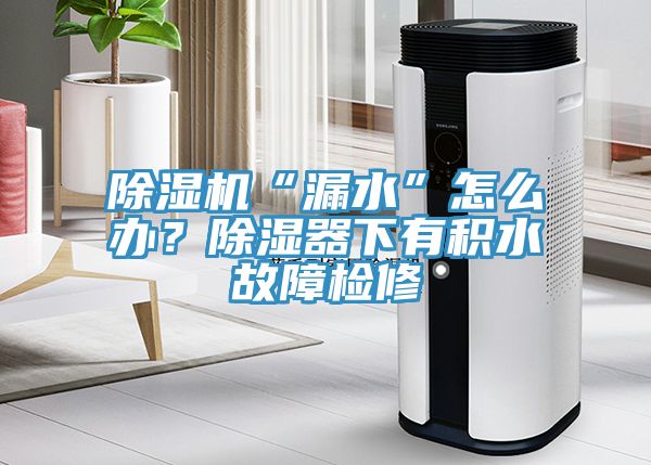 杏仁直播app最新版下载“漏水”怎么办？除湿器下有积水故障检修