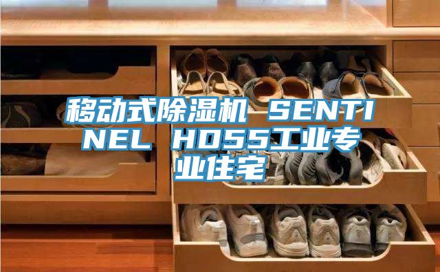 移动式杏仁直播app最新版下载 SENTINEL HD55工业专业住宅