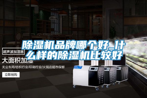 杏仁直播app最新版下载品牌哪个好_什么样的杏仁直播app最新版下载比较好