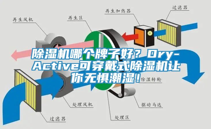 杏仁直播app最新版下载哪个牌子好？Dry-Active可穿戴式杏仁直播app最新版下载让你无惧潮湿！