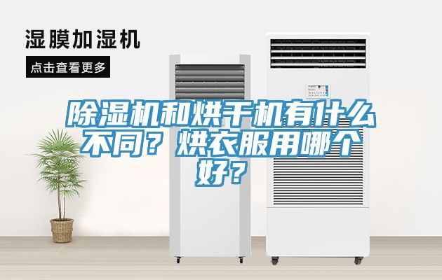 杏仁直播app最新版下载和烘干机有什么不同？烘衣服用哪个好？