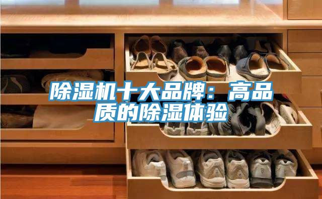 杏仁直播app最新版下载十大品牌：高品质的除湿体验