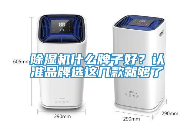 杏仁直播app最新版下载什么牌子好？认准品牌选这几款就够了