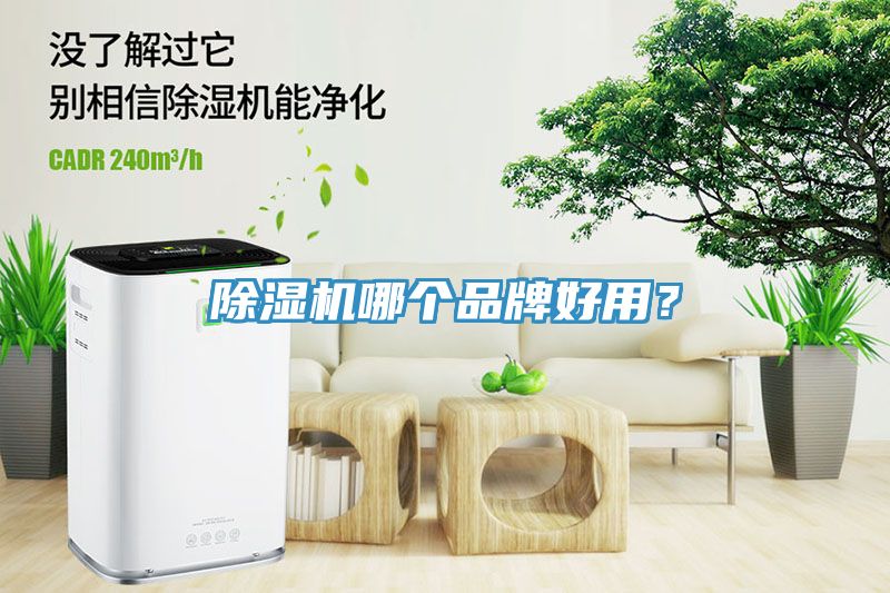 杏仁直播app最新版下载哪个品牌好用？