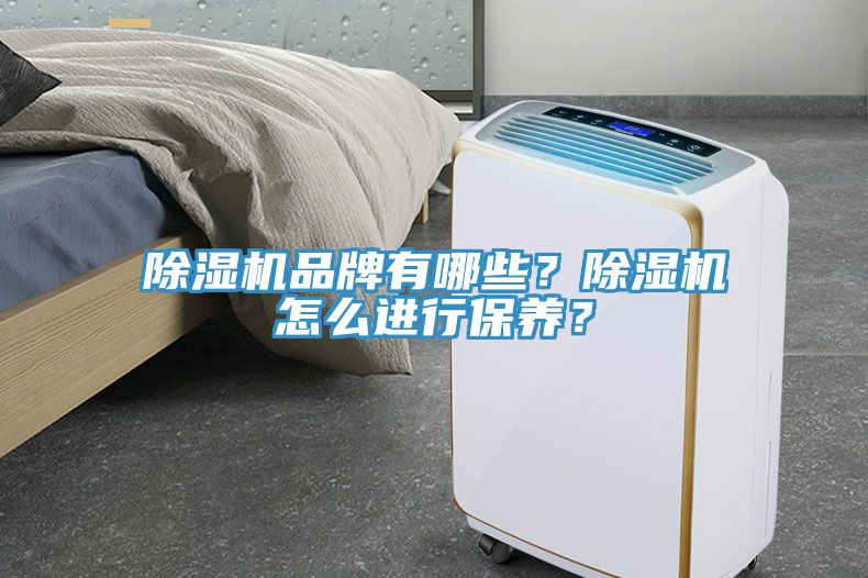 杏仁直播app最新版下载品牌有哪些？杏仁直播app最新版下载怎么进行保养？