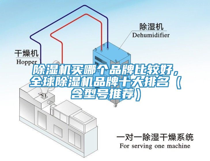 杏仁直播app最新版下载买哪个品牌比较好，全球杏仁直播app最新版下载品牌十大排名（含型号推荐）