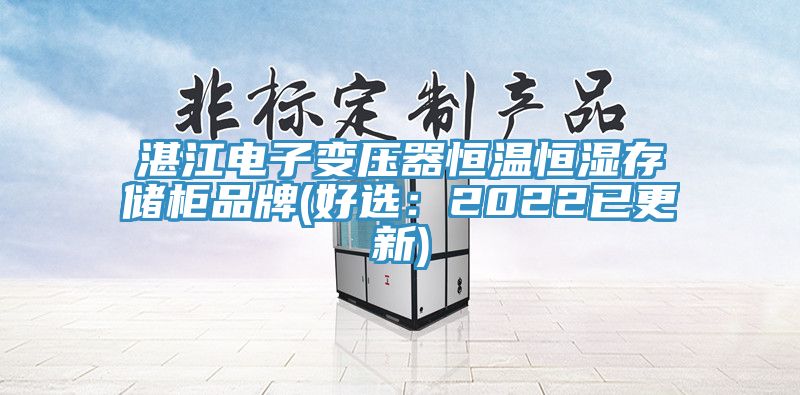 湛江电子变压器恒温恒湿存储柜品牌(好选：2022已更新)