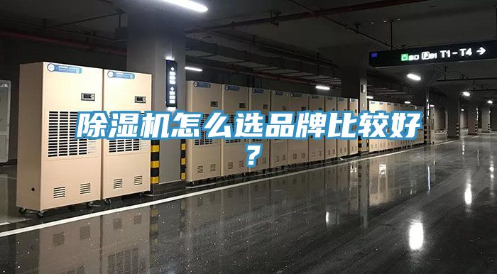 杏仁直播app最新版下载怎么选品牌比较好？