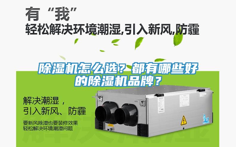 杏仁直播app最新版下载怎么选？都有哪些好的杏仁直播app最新版下载品牌？