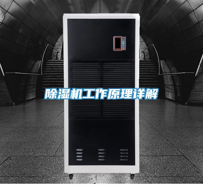 杏仁直播app最新版下载工作原理详解