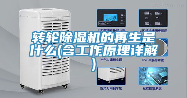 转轮杏仁直播app最新版下载的再生是什么(含工作原理详解)