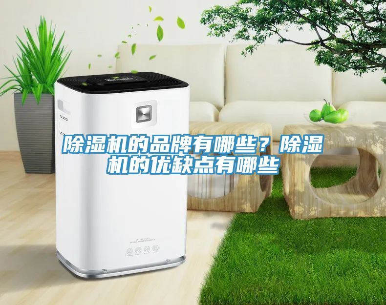 杏仁直播app最新版下载的品牌有哪些？杏仁直播app最新版下载的优缺点有哪些