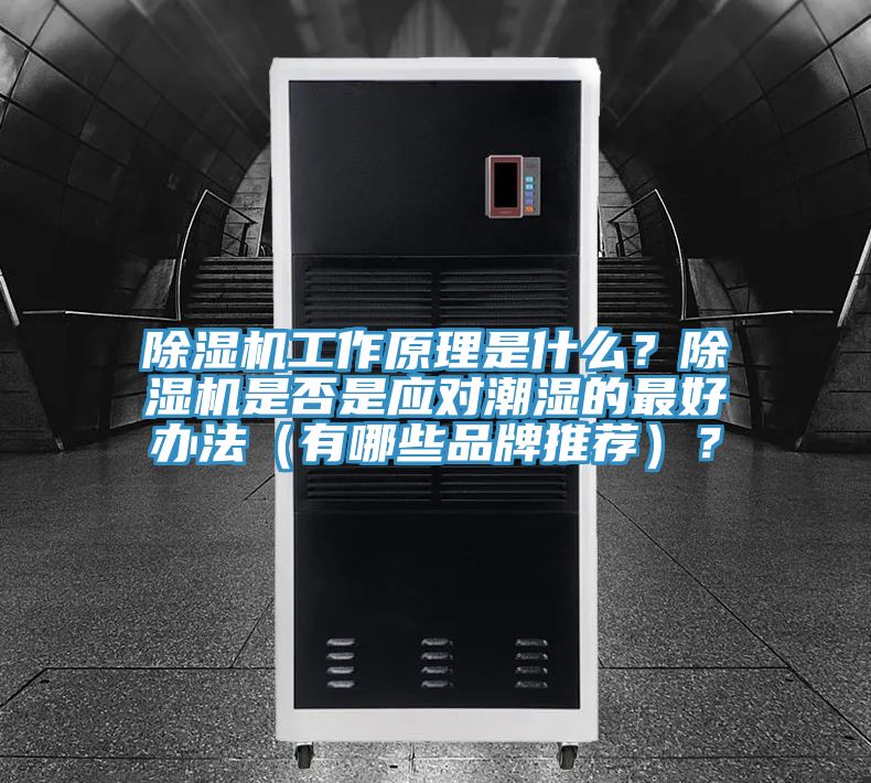 杏仁直播app最新版下载工作原理是什么？杏仁直播app最新版下载是否是应对潮湿的最好办法（有哪些品牌推荐）？