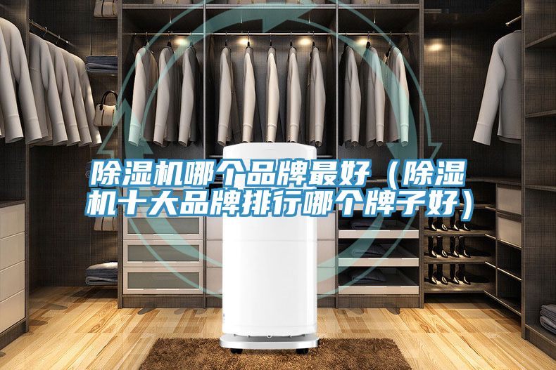 杏仁直播app最新版下载哪个品牌最好（杏仁直播app最新版下载十大品牌排行哪个牌子好）