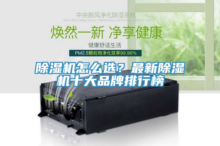 杏仁直播app最新版下载怎么选？最新杏仁直播app最新版下载十大品牌排行榜